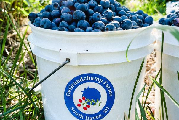 DeGrandchamp Farms