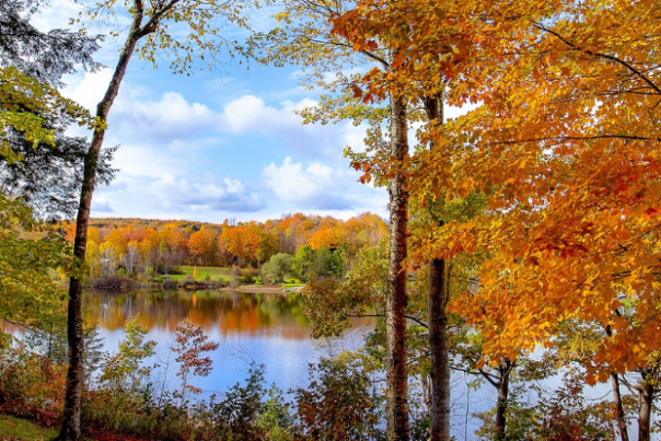 Welcome Fall