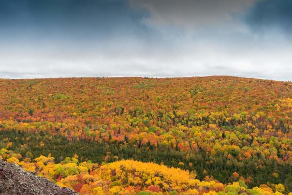 Behind the Mitten Brockway Mountain Drive
