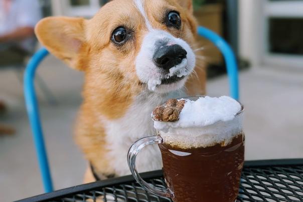 Harmony Brewing Company