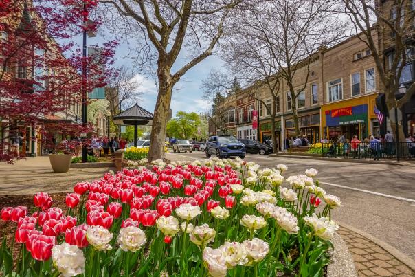 Downtown Holland