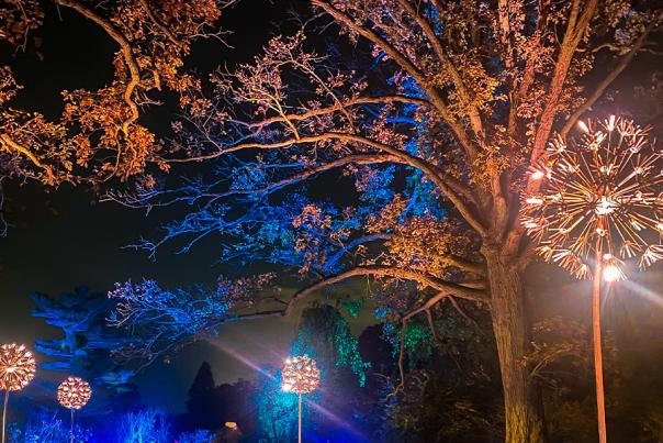 Frederik Meijer Gardens