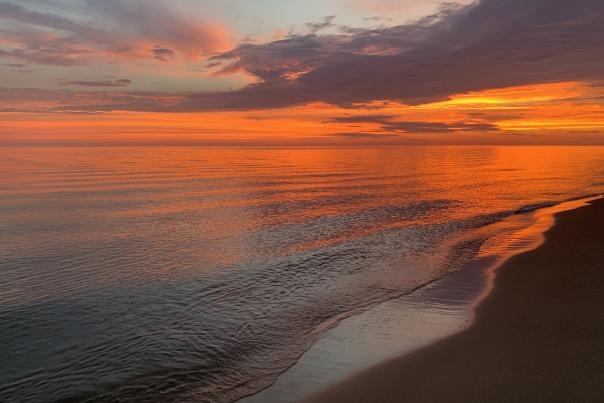 Ludington State Park