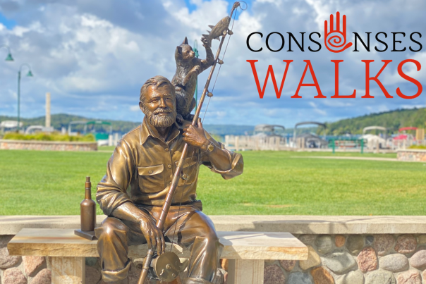 Walloon Lake Village