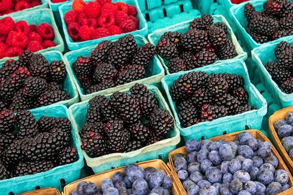 Holland Farmers Market Berries