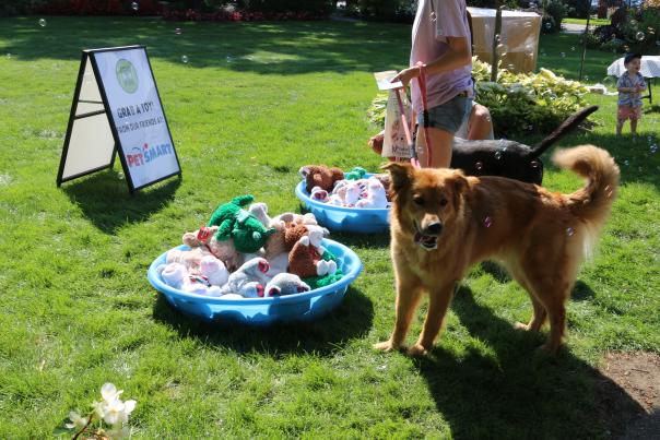 WIndmill Island Gardens