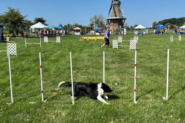 WIndmill Island Gardens