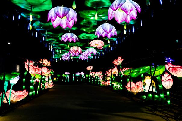 Lantern Festival 2025