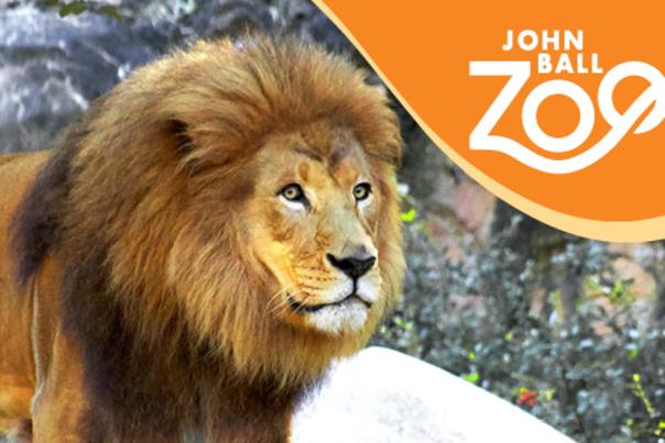 John Ball Zoo Spotlight Ad