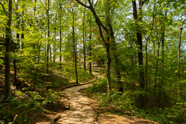 Complete the Michigan Trails Experience Survey-2