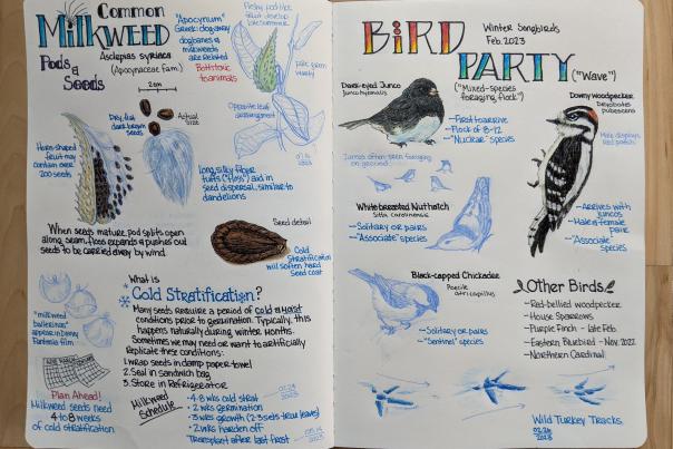 W.K. Kellogg Bird Santuary Bird Journaliing