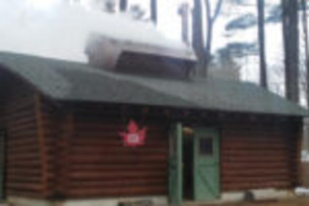 Maple Manor, the W.K. Kellogg Experimental Forest’s log-cabin maple sugar production facility, vents steam through its roof during sugaring season.