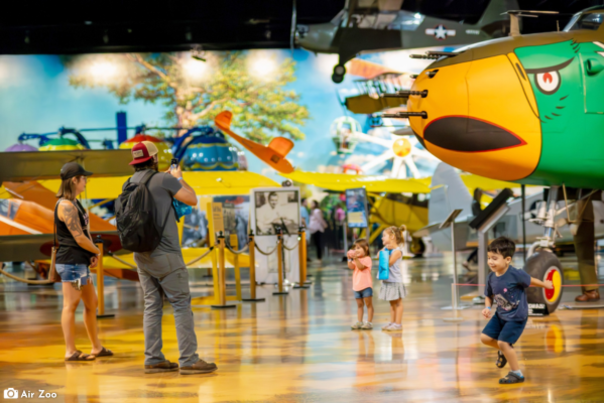 Air Zoo