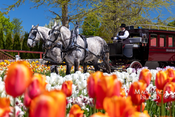 Mackinac Island Tourism