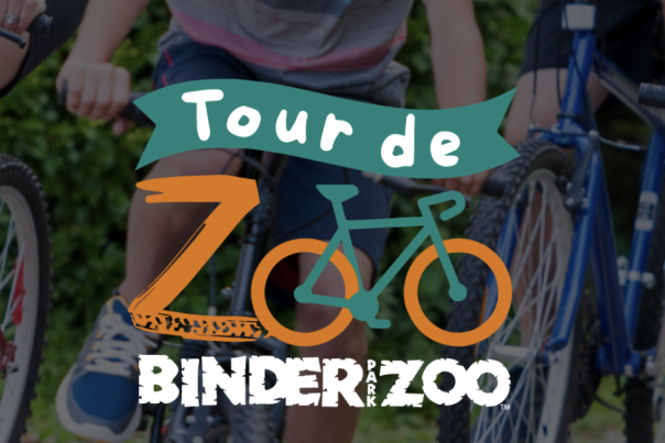 Tour De Zoo