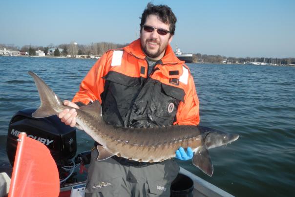 Michigan Maritime Museum