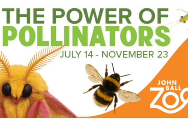 John Ball Zoo Spotlight Ad