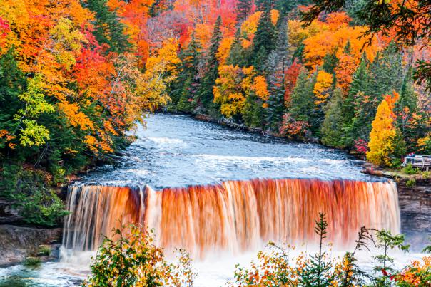 This image shows Tahquamenon Falls in Michigan, surrounded by vibrant autumn foliage. The waterfall cascades down in rich, amber-colored water, framed by trees displaying a full spectrum of fall colors—orange, yellow, red, and green. The river flows smoothly beyond the falls, and a viewing platform can be seen to the right. The scene captures the natural beauty of Michigan's Upper Peninsula during the peak of fall, with the striking contrast of the colorful forest against the dynamic, rushing waterfall.