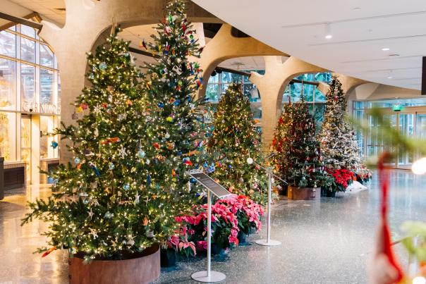 Fredrick Meijer Gardens