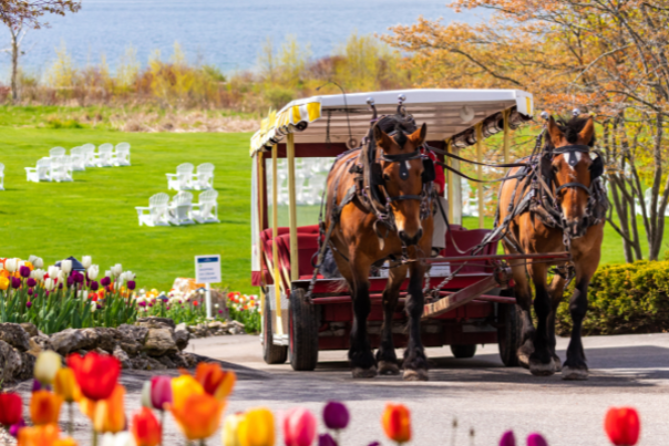 Mackinac Island