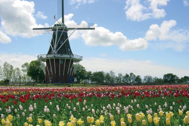 Windmill Island