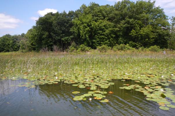 W.K. Kellogg Biological Station
