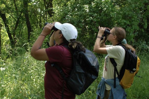 W.K. Kellogg Bird Sanctuary