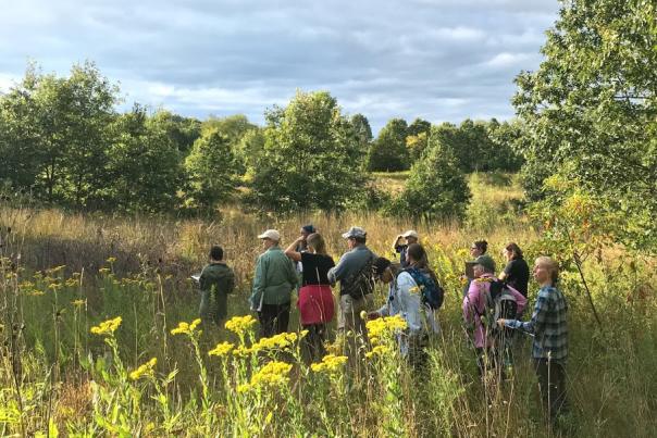 W.K. Kellogg BIrd Sanctuary Prarie