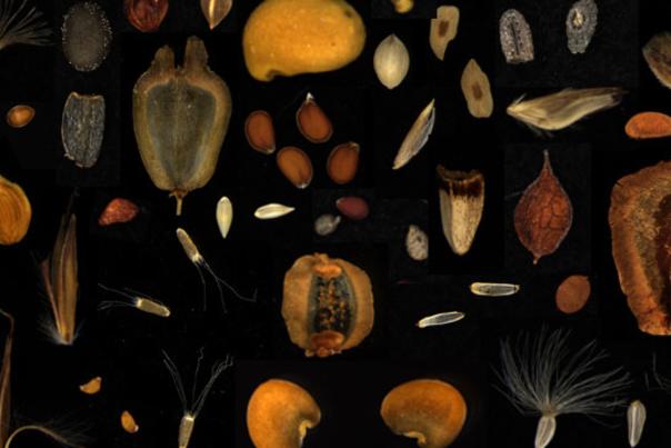 W. K. Kellogg Bird Sanctuary