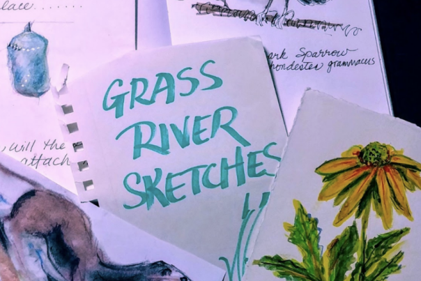 Grass River Natural Area