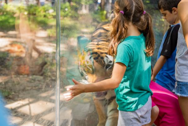 John Ball Zoo