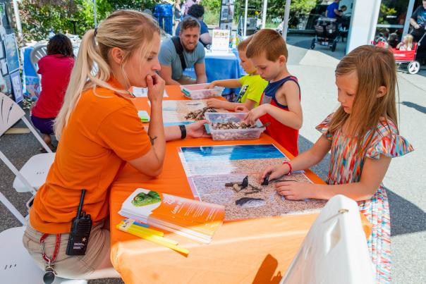 Jjohn Ball Zoo Steam