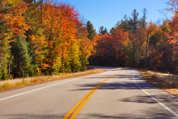 Paved Road with Fall Foliage