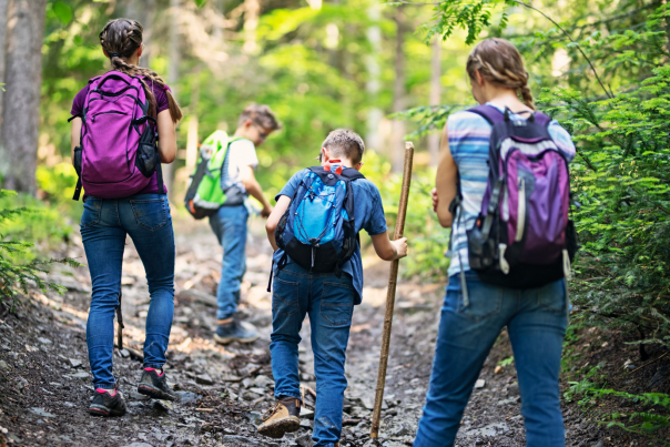 7 More Spring Hikes Blog Cover - Family Hiking in Woods