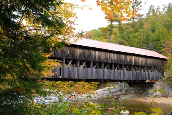Albany Covered Bridge-Fall