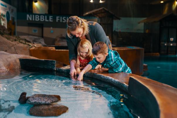 Living Shores Aquarium (Mom and Two Children Enjoying Touch Pool)