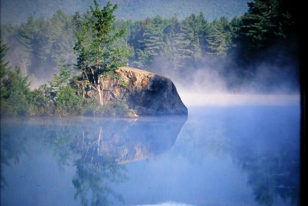 Beaver Pond