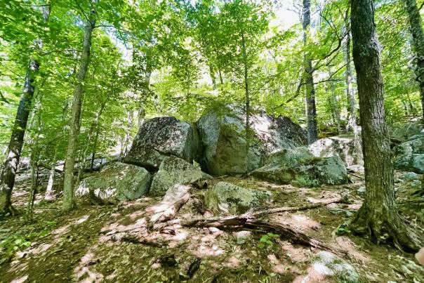 Boulder Loop Hiking Trail: Glacial Erratic Boulders