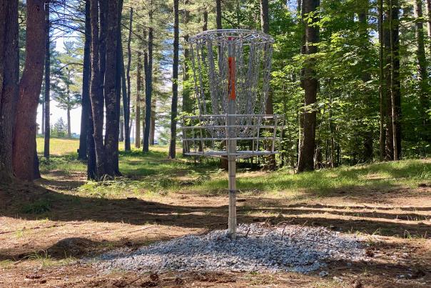 Kings Mark Disc Golf Course Opens at Purity Spring Resort
