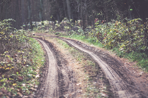 Mud Season Blog Cover Photo - Muddy Road Through Forest