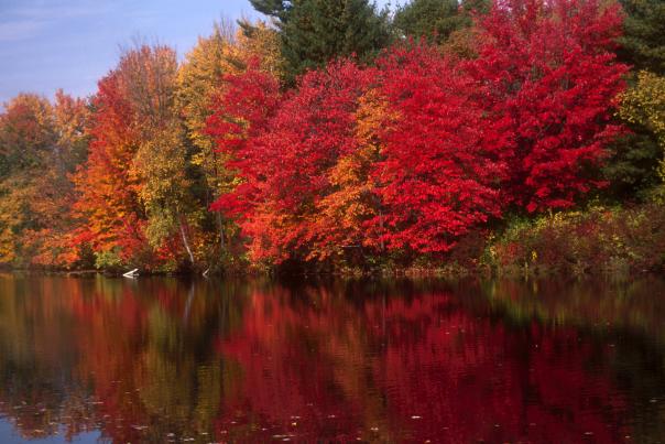 River in Fall