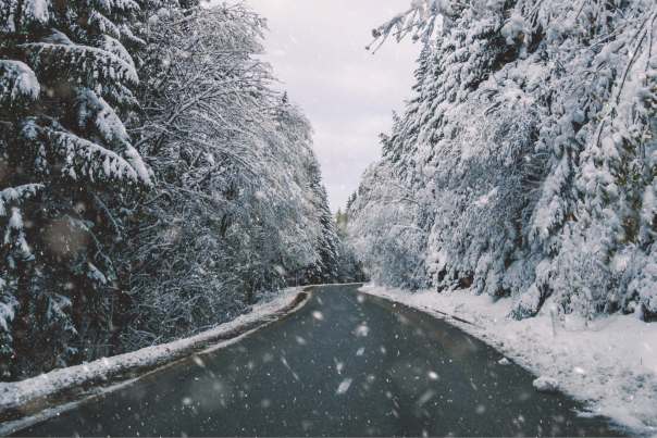 Winter Road in Forest with Snow Falling