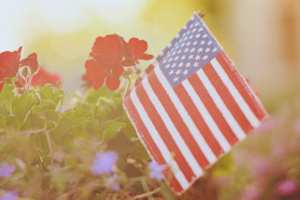 Small American Flag planted with Patriotic Flowers