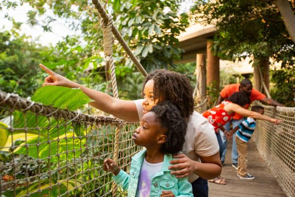 Families Enjoy Sedgwick County Zoo