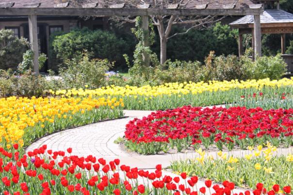 Botanica In Bloom