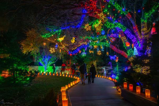 Illuminations 2024 lit path