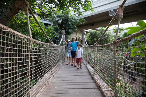 Family in rainforest at Sedgwick County Zoo
