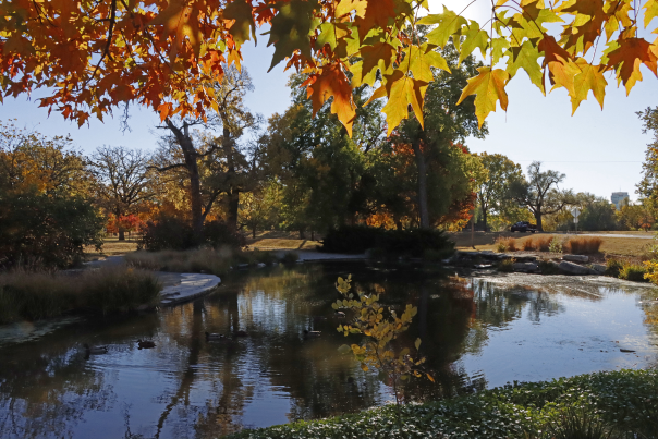 Riverside Park Fall