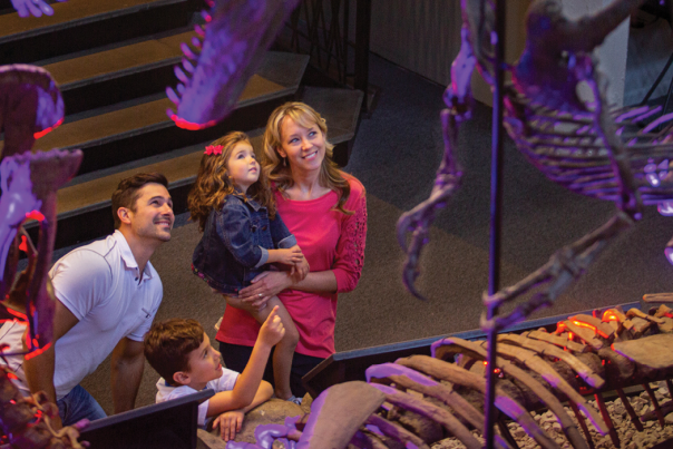 Museum of World Treasures
