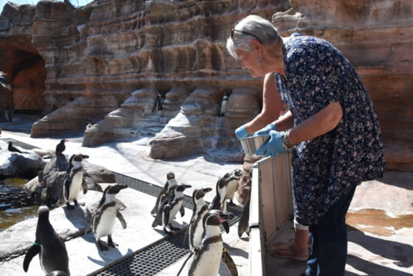 Travel writer Marilyn Jones at Penguin Encounter
